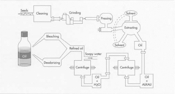 Oil Extraction Process