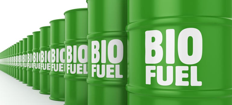 Renewable Hydrocarbon Biofuels